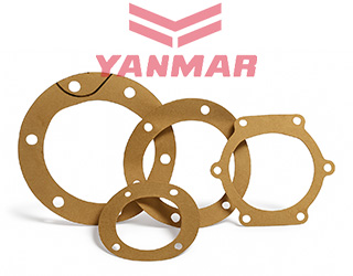 Dichtung Seewasserpumpe